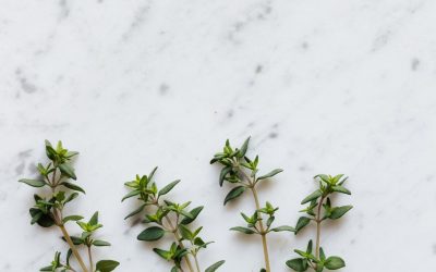 Devenir Chef Cuisinier : Un Rêve à portée de Réfrigérateur ?