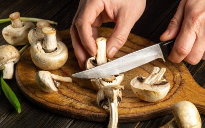 Secret de la Réussite : Quand le CAP Cuisine se Transforme en École de Vie