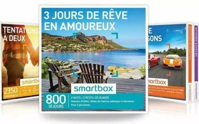 Smartbox : l’incroyable révolution des cadeaux par Pierre-Édouard Stérin